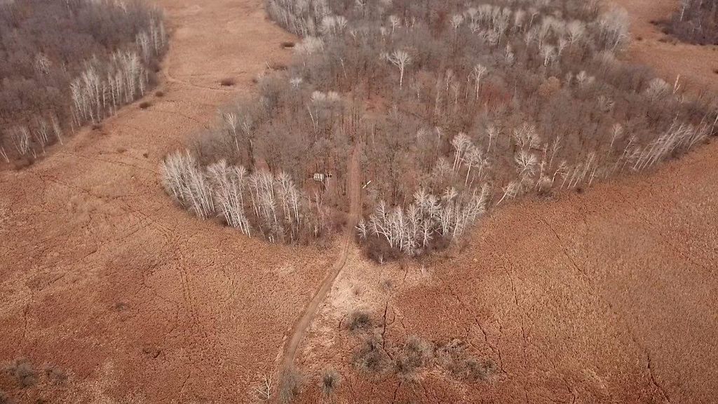 Photo of 32294 93rd Street, Pierz, MN 56338 (MLS # 6823451)