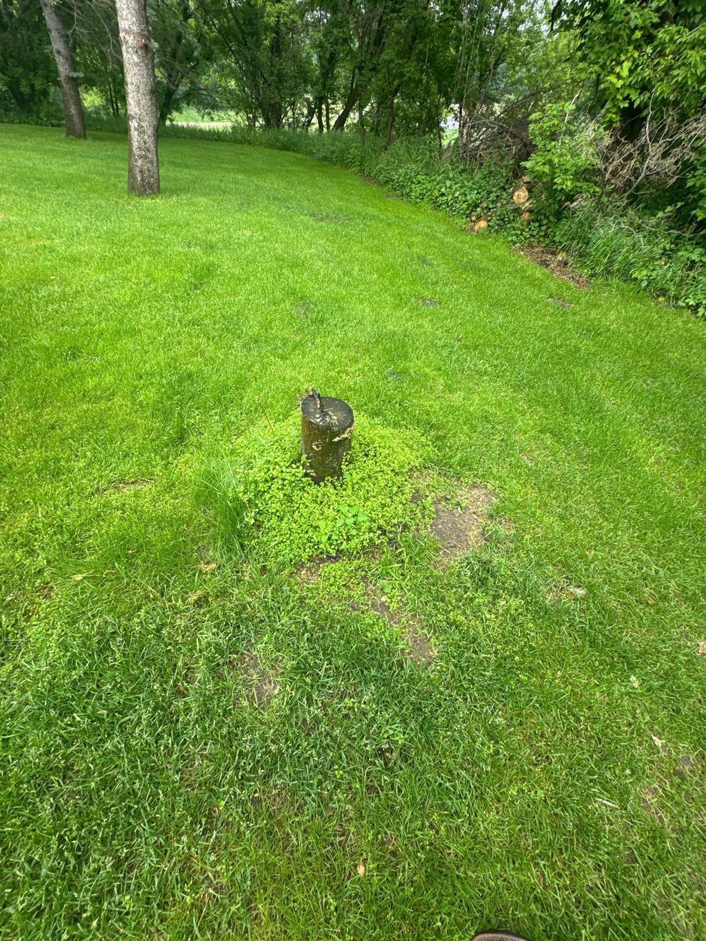 Photo of 32294 93rd Street, Pierz, MN 56338 (MLS # 6823451)