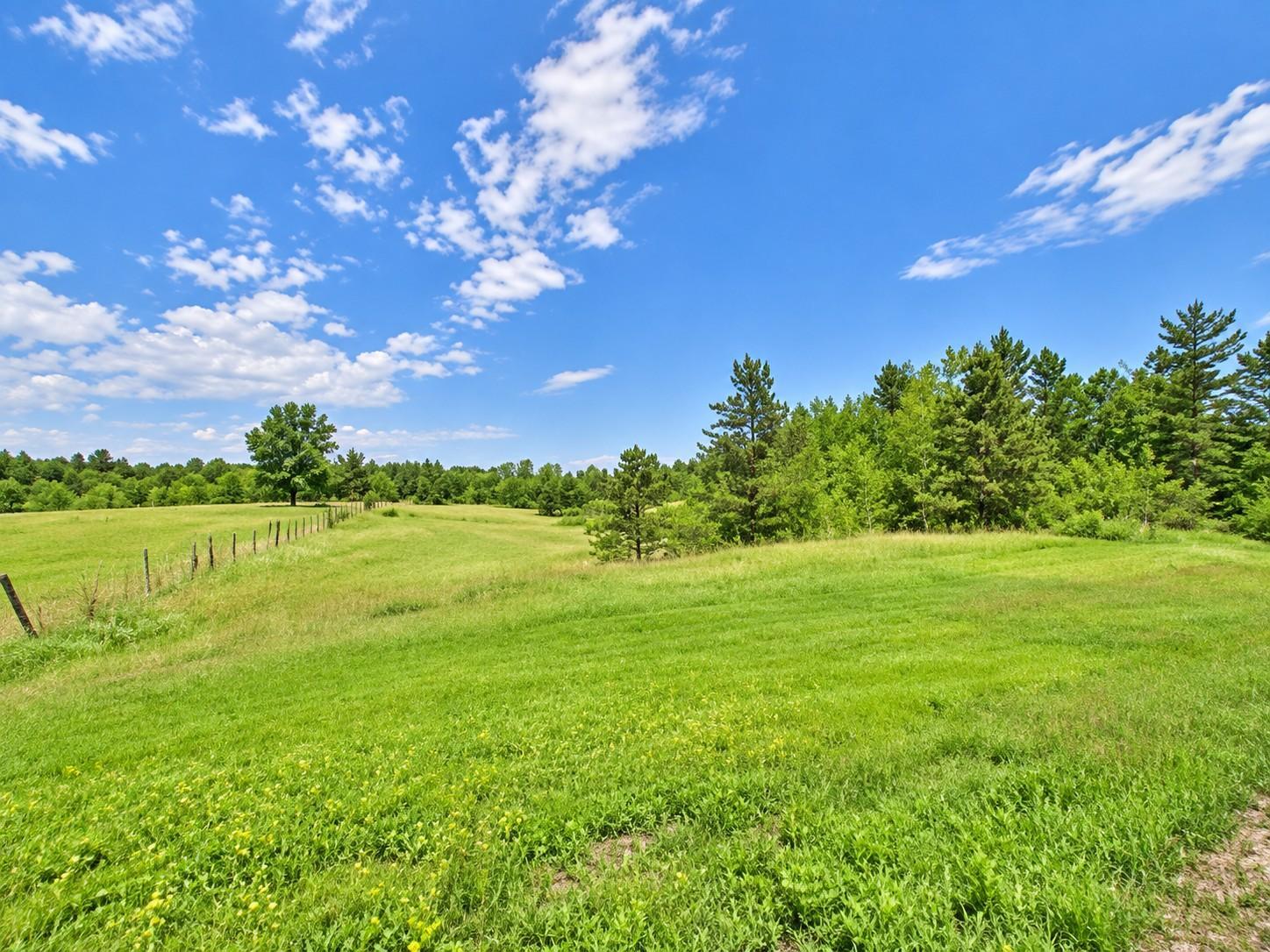 TBD County Road 134