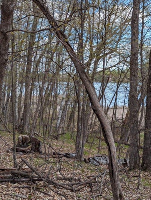 PARADISE DR, BROWERVILLE, MN 56438 - Image dc4a7e1e80fff94d5574125ff5a488ec/3762067845