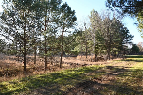 28969 PEQUOT CT, BROWERVILLE, MN 56438 - Image dc787e8057bd2befd4a2a4ed65e20da1/2489731658