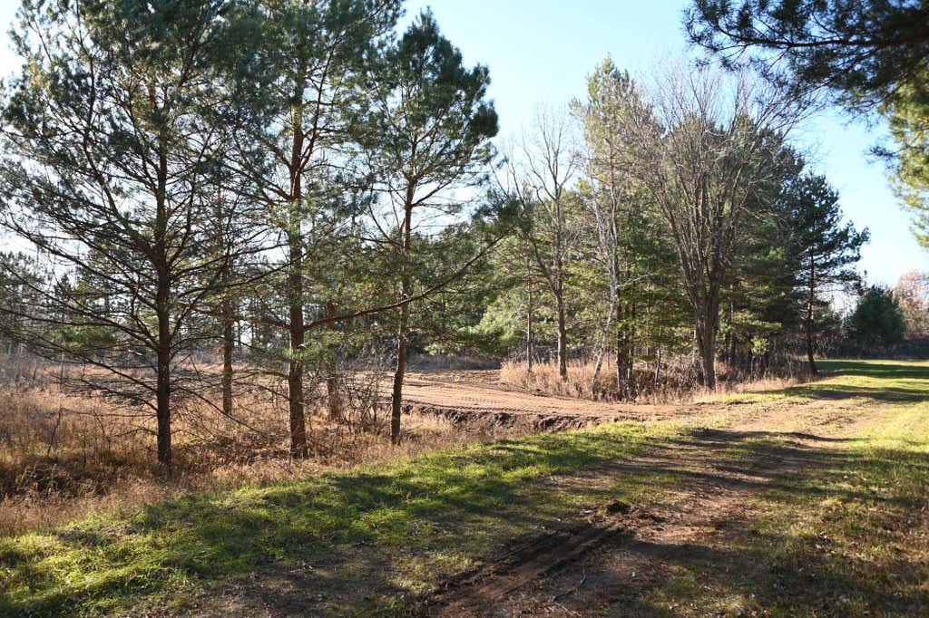 Photo of 28969 Pequot Court, Browerville, MN 56438 (MLS # 7120314)