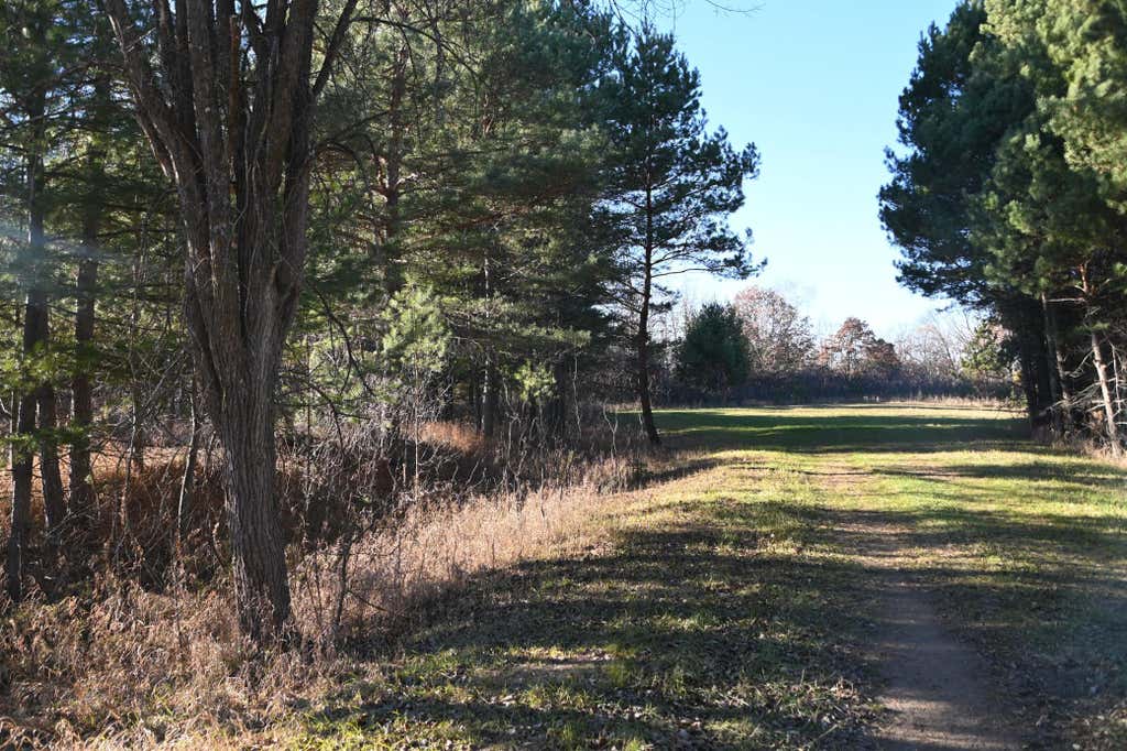 Photo of 28969 Pequot Court, Browerville, MN 56438 (MLS # 7120314)