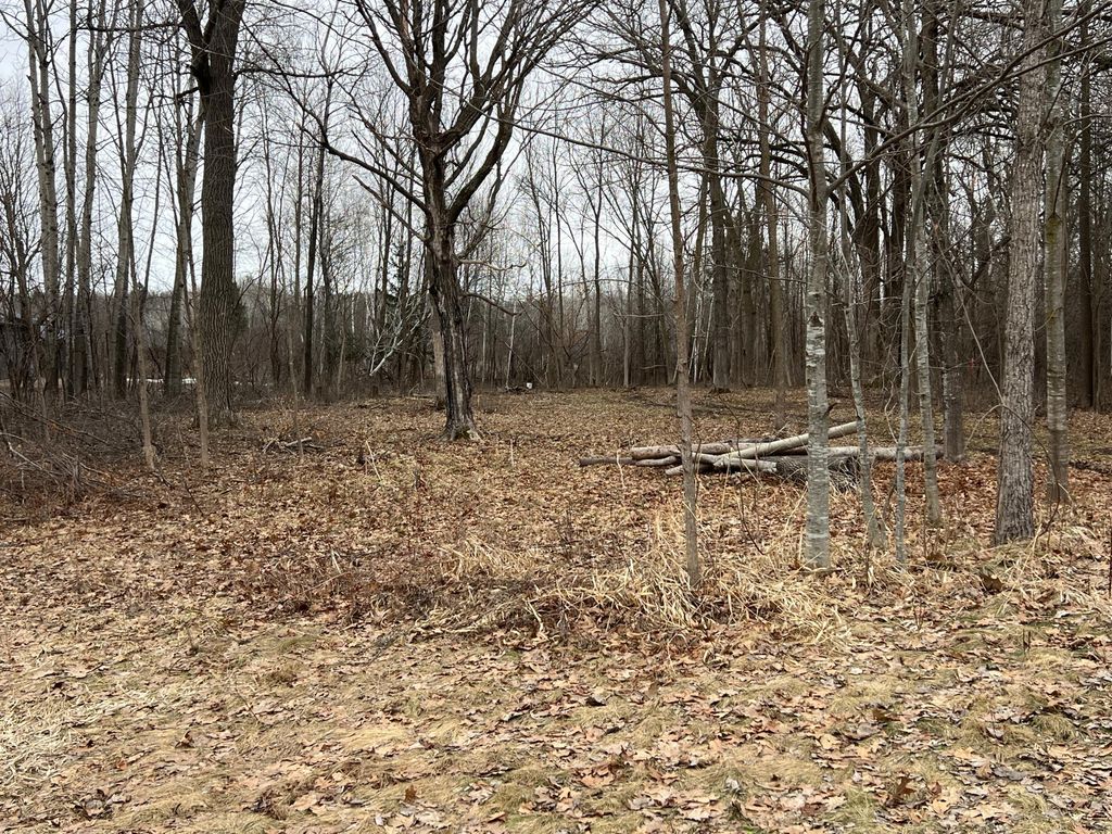 Photo of 13552 Cross Lake Rd, Pine City, MN 55063 (MLS # 7040787)