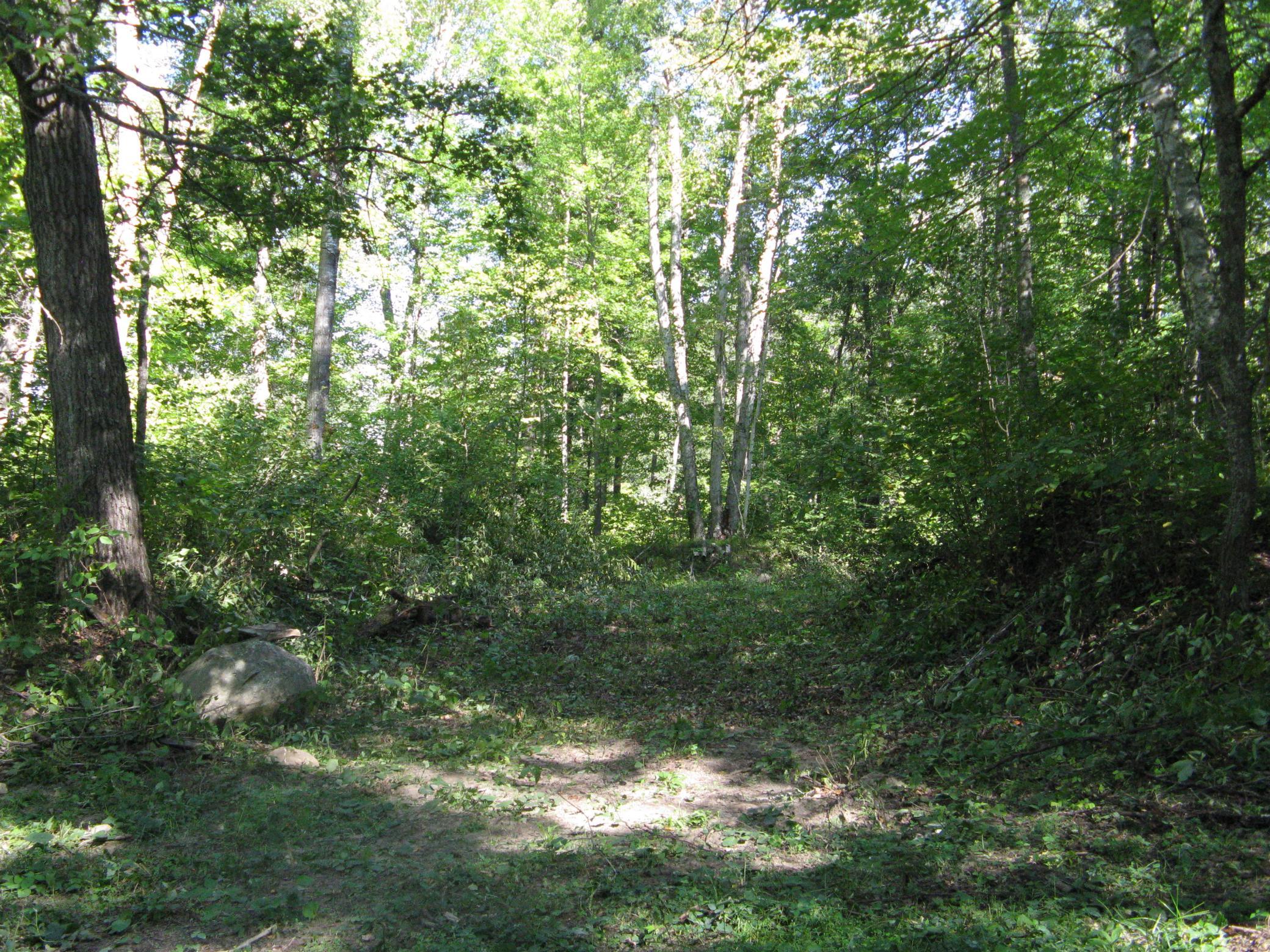 TBD Alpine Drive