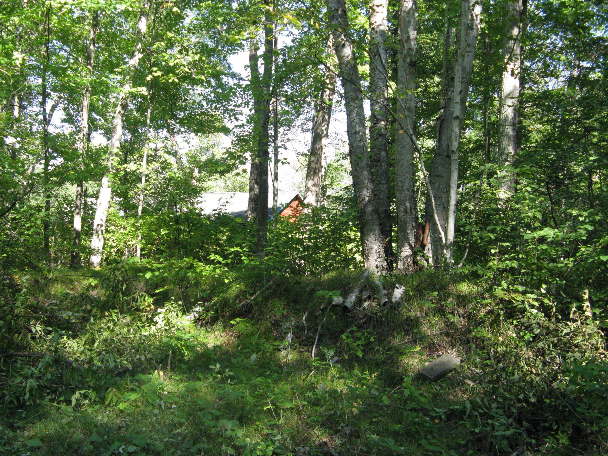 TBD Alpine Drive
