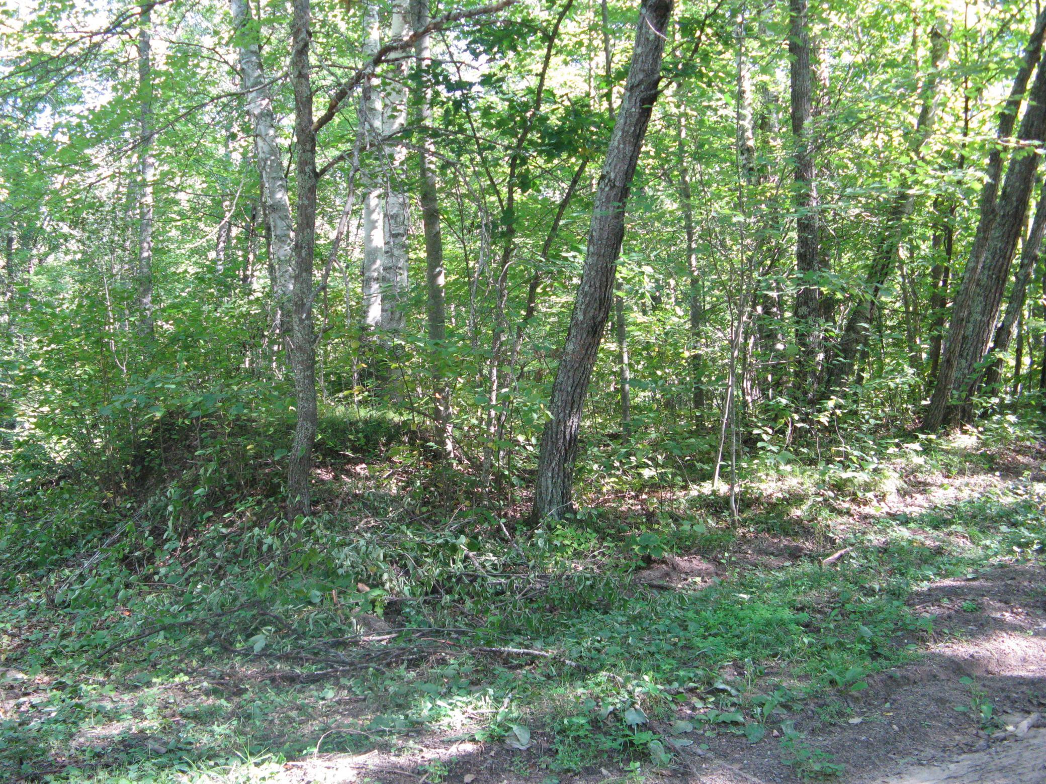 TBD Alpine Drive