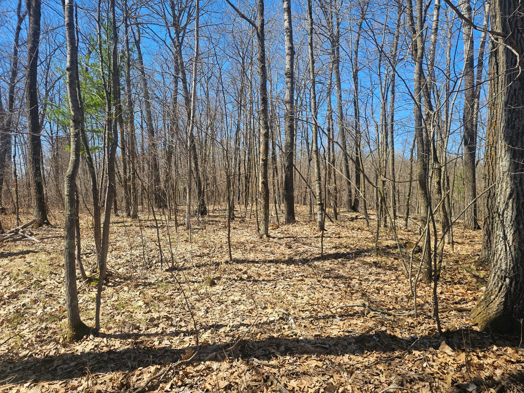 TBD Tract A Swanson Road