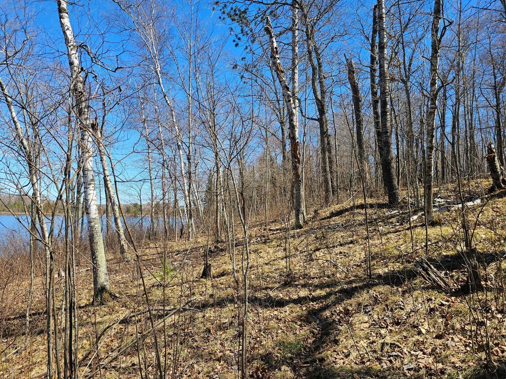 Photo of TBD Tract A Swanson Road, Deerwood, MN 56444 (MLS # 7059563)