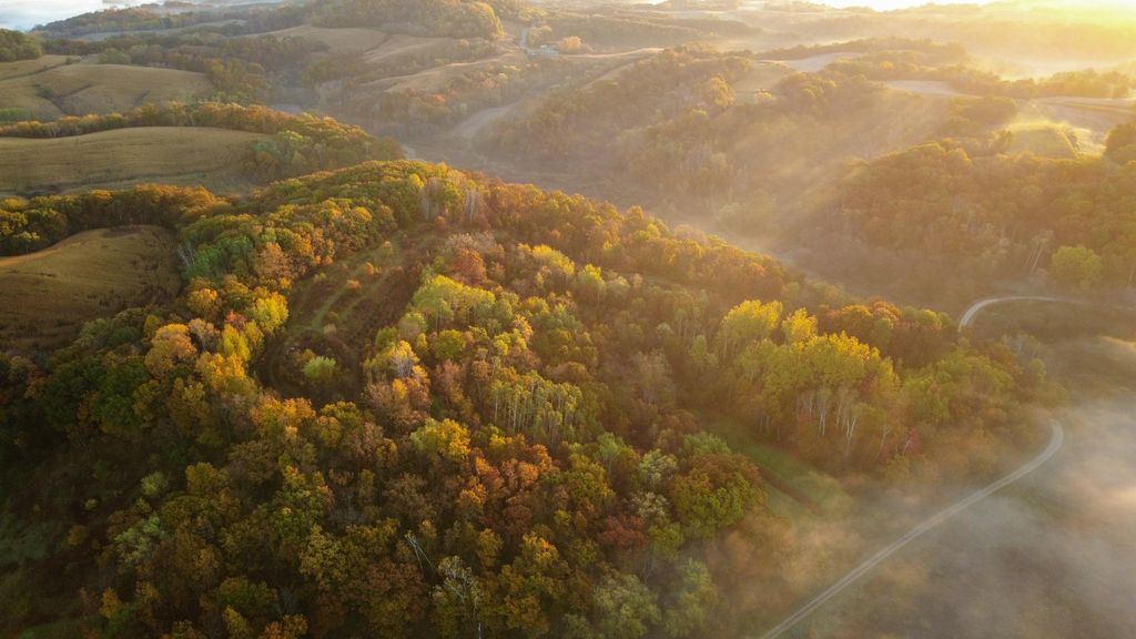 Photo of N35194 Przybilla Lane, Independence, WI 54747 (MLS # 7050101)