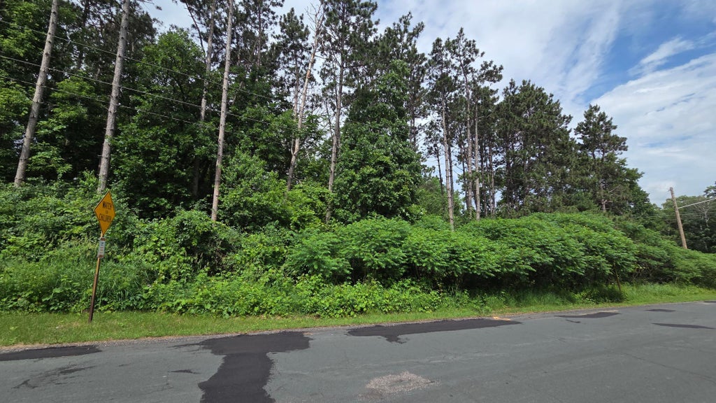 Photo of TBD Uplander Street NW, Andover, MN 55304 (MLS # 7089499)