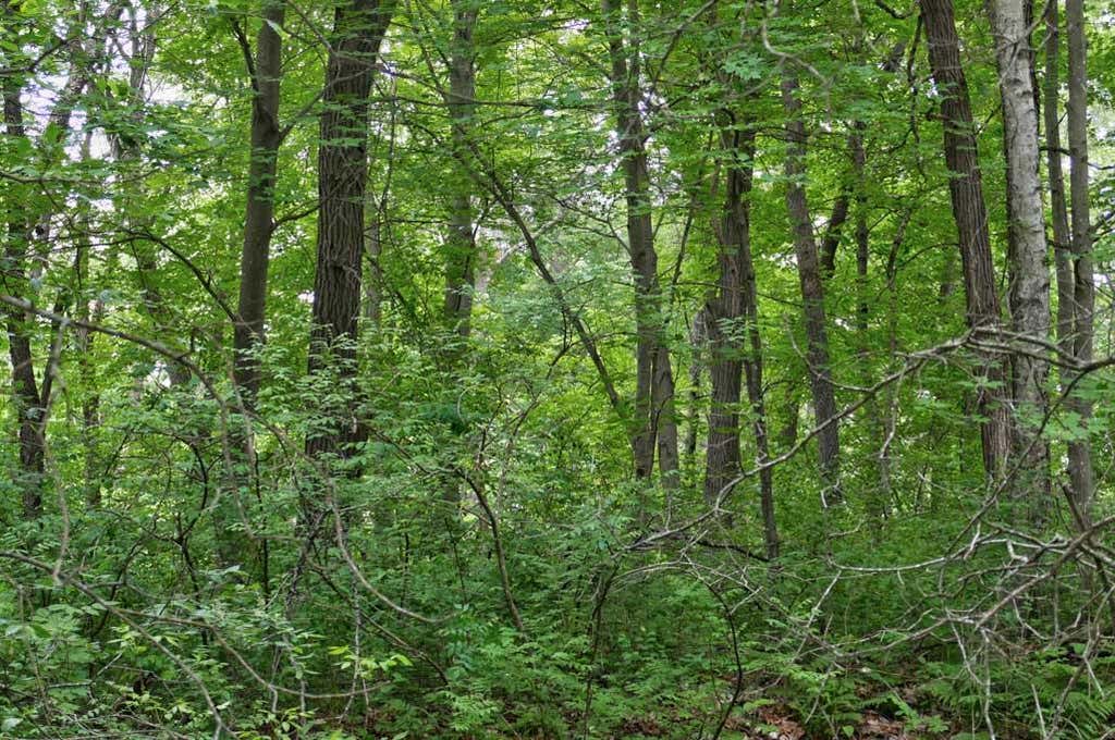 Photo of 1159 65th Avenue, Amery, WI 54001 (MLS # 7098058)