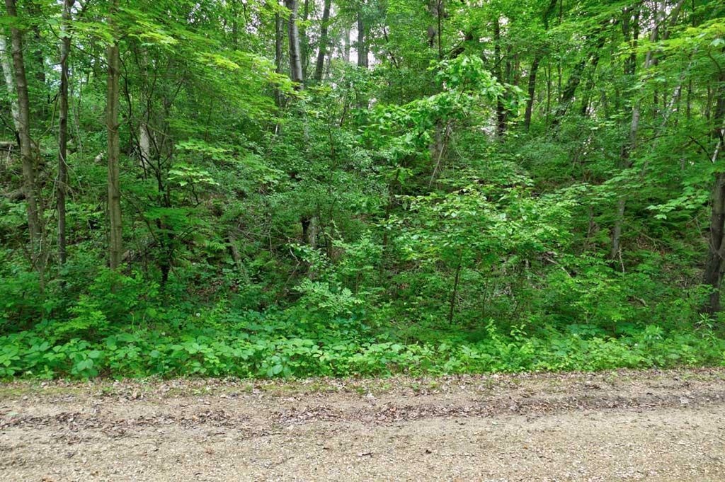 Photo of 1159 65th Avenue, Amery, WI 54001 (MLS # 7098058)