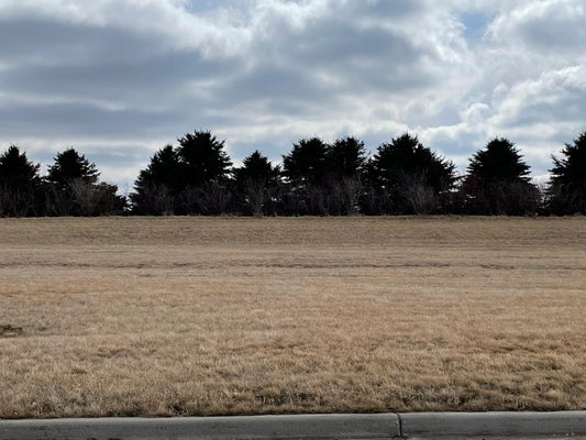 541 HILL CREST ST, EDGERTON, MN 56128 - Image dd9178c9b09bf794980e9d70eccb2bef/4249755021