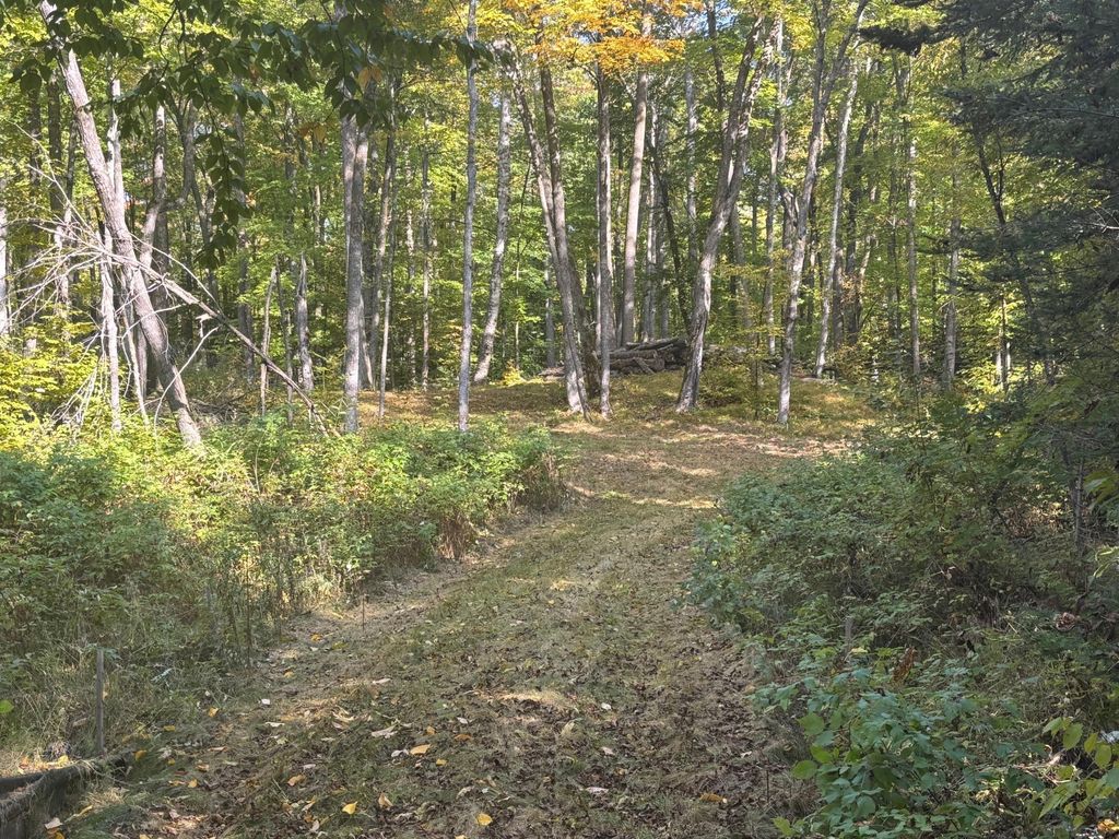 Photo of TBD North Sherrys Arm Road, Grand Rapids, MN 55744 (MLS # 7046351)