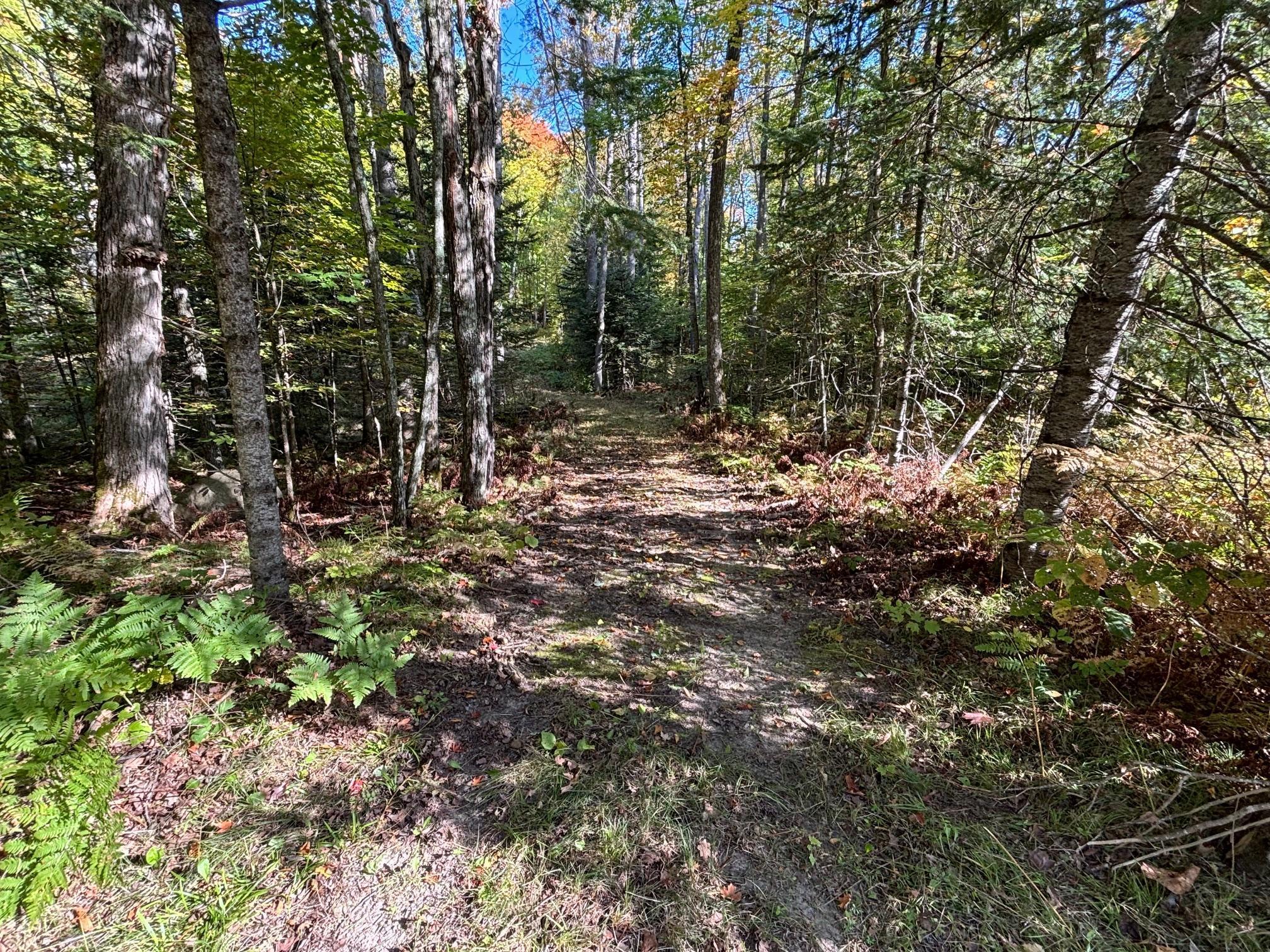 TBD North Sherrys Arm Road