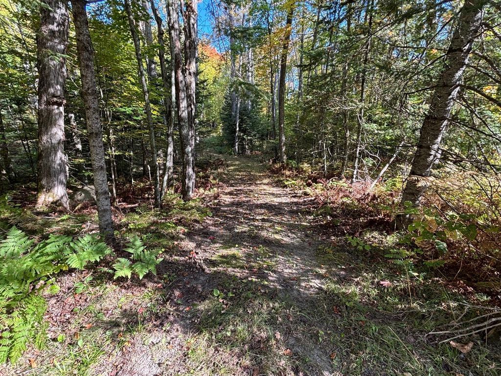 Photo of TBD North Sherrys Arm Road, Grand Rapids, MN 55744 (MLS # 7046351)