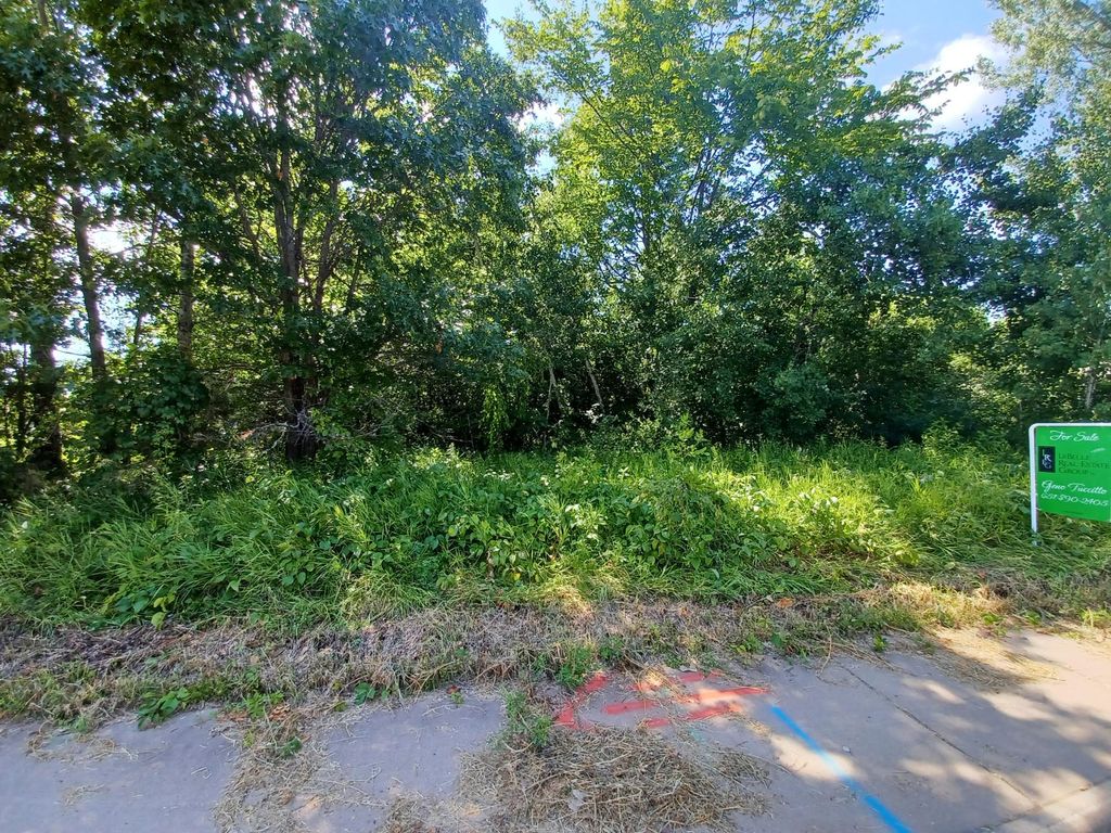 Photo of 38xxx Oakview Ave, North Branch, MN 55056 (MLS # 7058504)