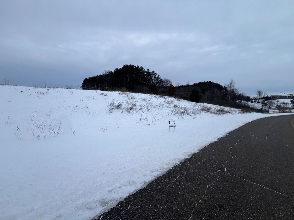 Photo of Lot 24 21st Street, Rice Lake, WI 54868 (MLS # 7002254)