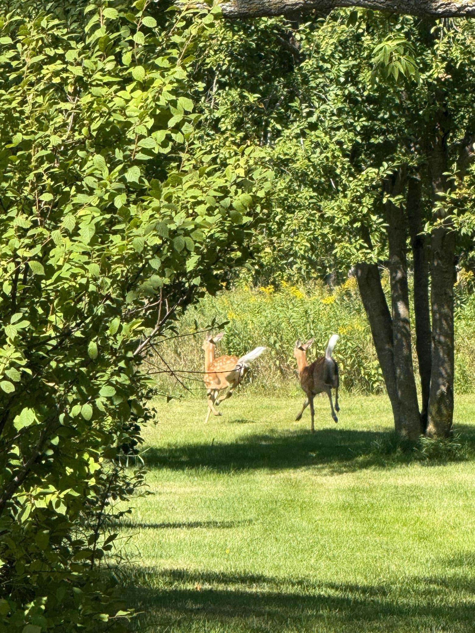 45227 County Highway 67