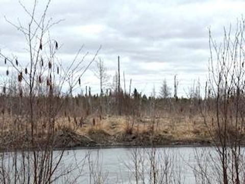 TBD 450th Street McGregor MN 55760