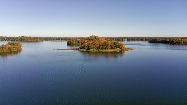 30358 21ST AVE, CUSHING, MN 56443 - Image de4e1a0061a76deebb3ee68514d019df/1960214947