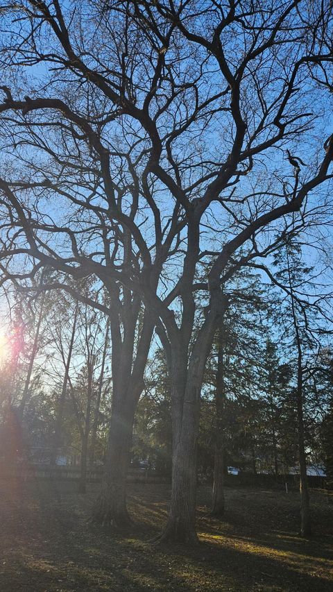 5920 Hodgson Road Shoreview MN 55126