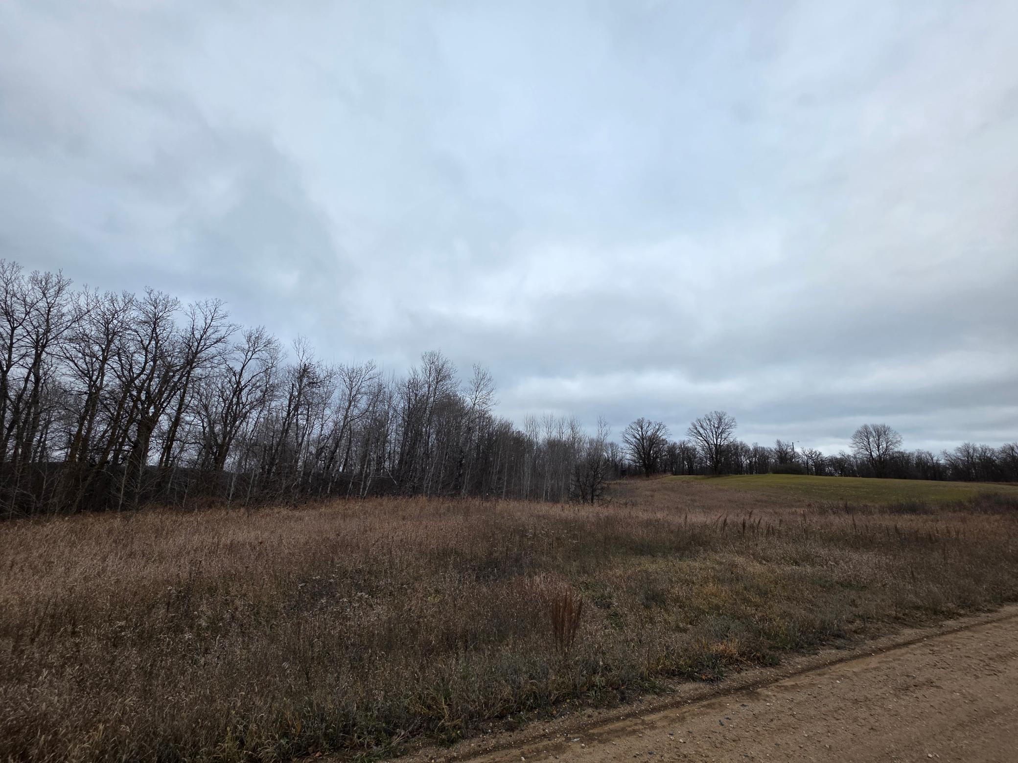 2767 State Highway 113