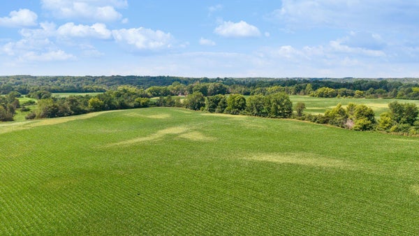110TH ST N, STILLWATER, MN 55082 - Image de8beecec9d670be21a325e3d3ed899d/135921883
