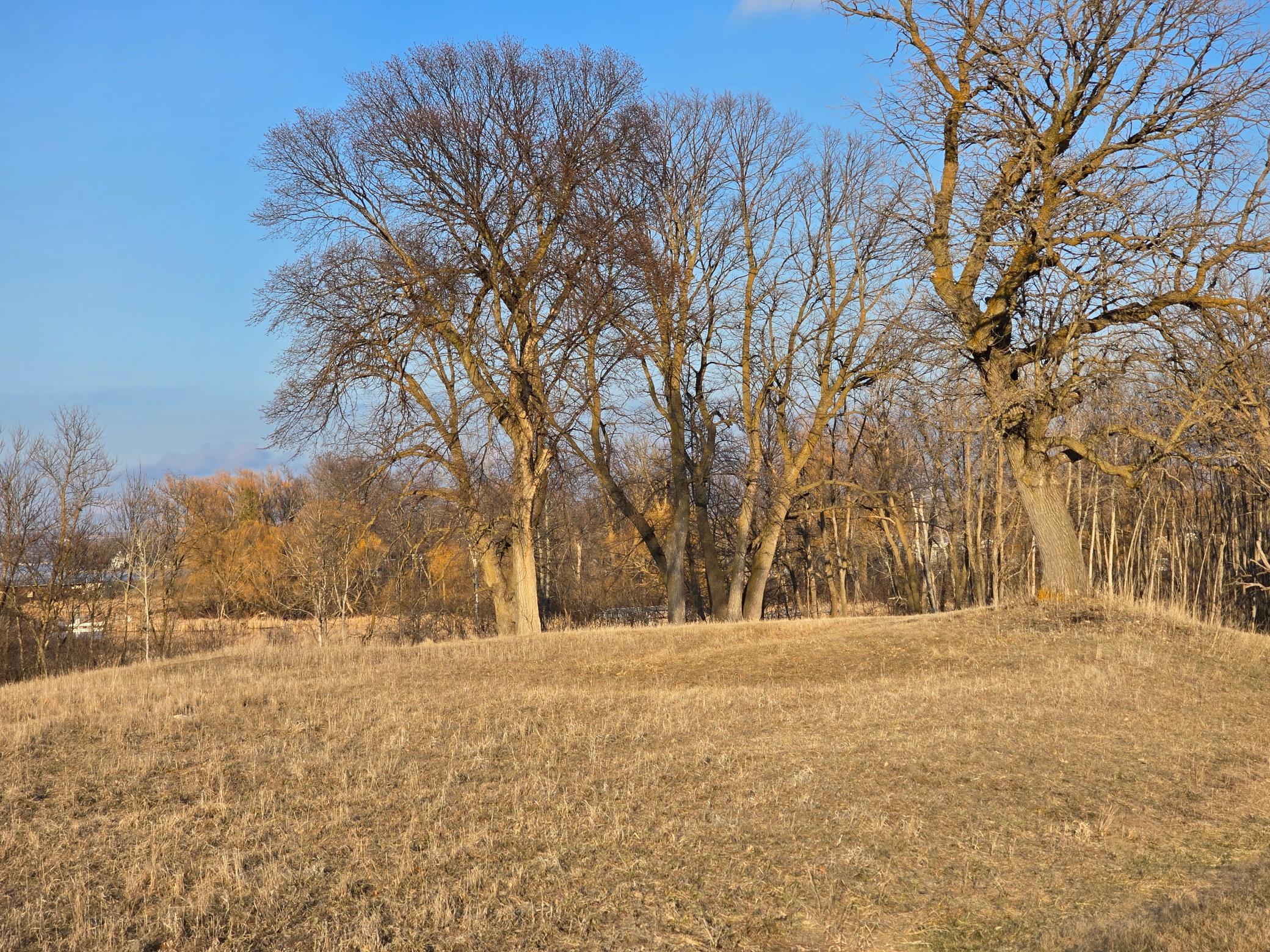 Lot 8 Branch Creek Road