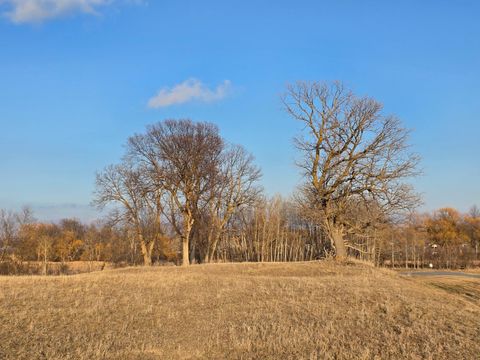 Lot 8 Branch Creek Road Detroit Lakes MN 56501