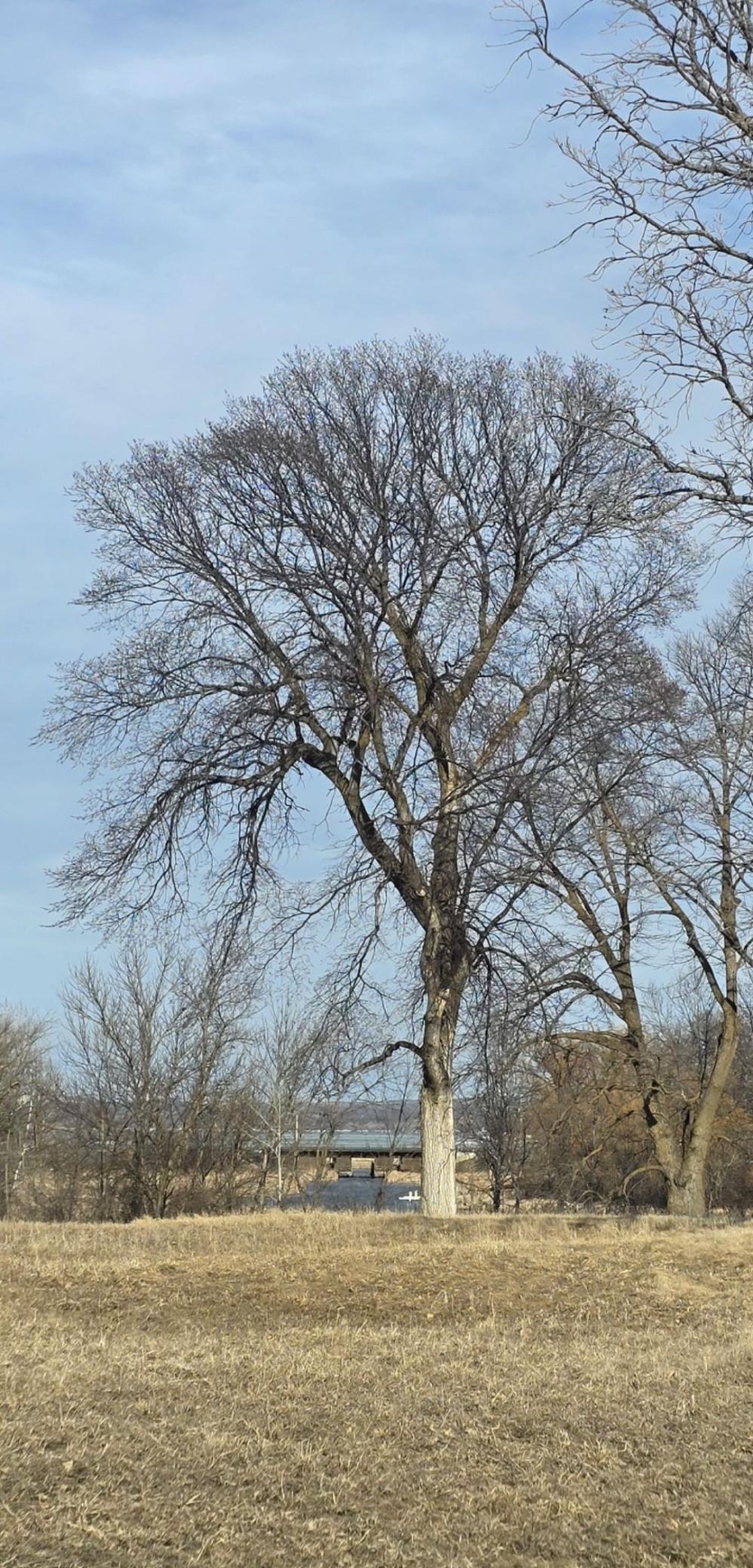 Lot 8 Branch Creek Road