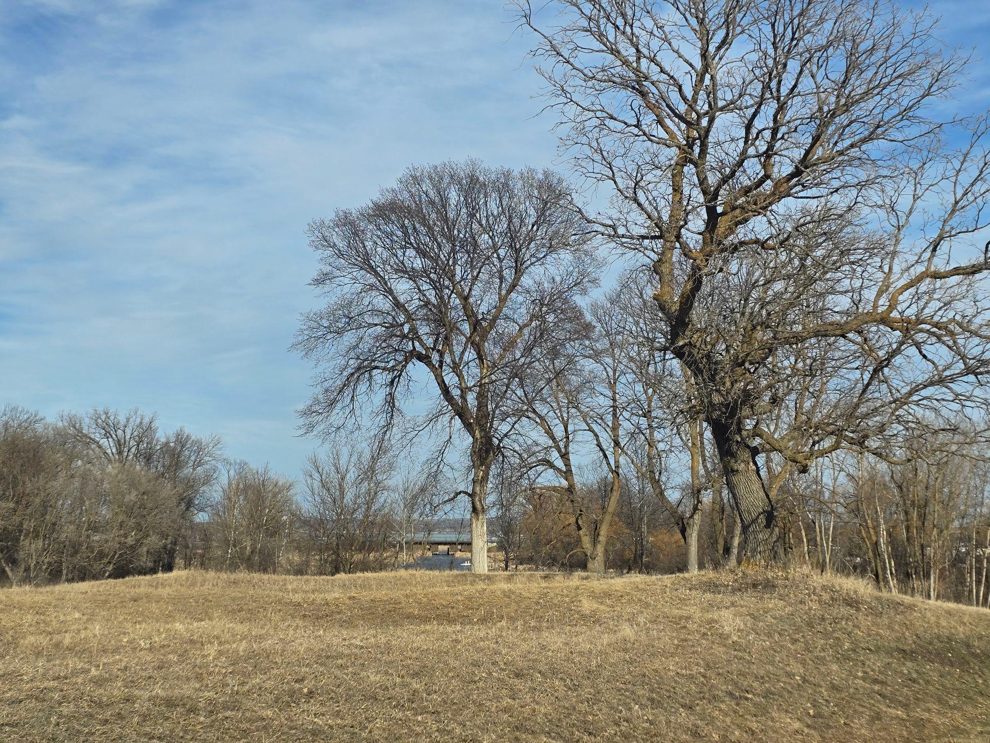 Lot 8 Branch Creek Road