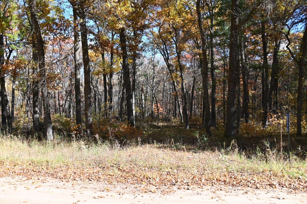 Photo of 38970 Odin Court, Browerville, MN 56438 (MLS # 7034466)