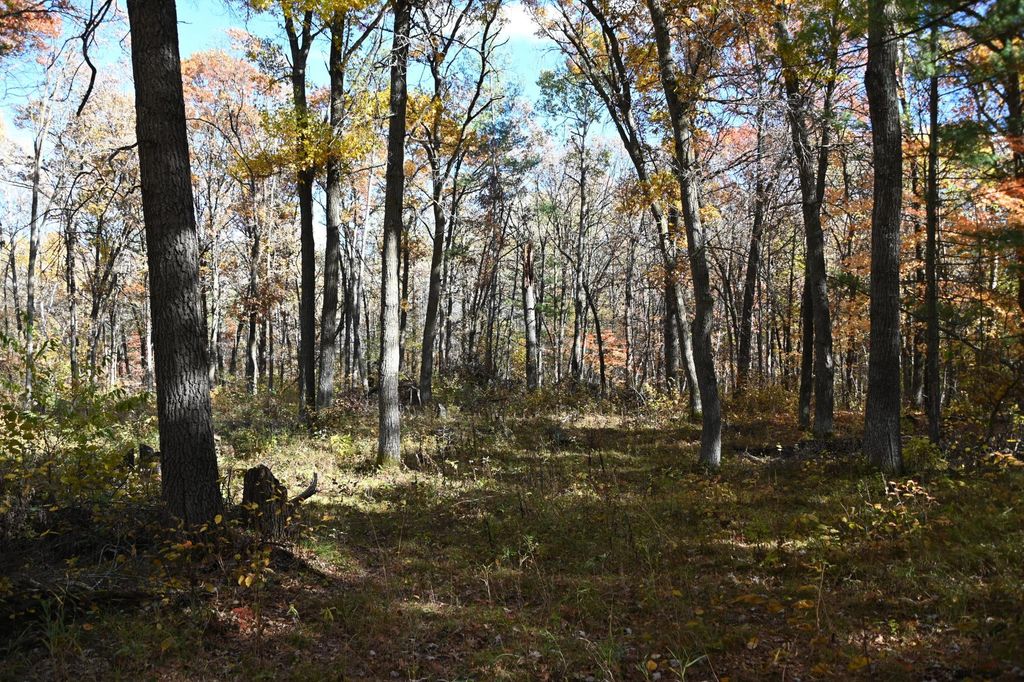 Photo of 38970 Odin Court, Browerville, MN 56438 (MLS # 7034466)