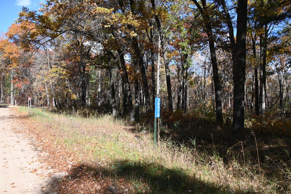 Photo of 38970 Odin Court, Browerville, MN 56438 (MLS # 7034466)