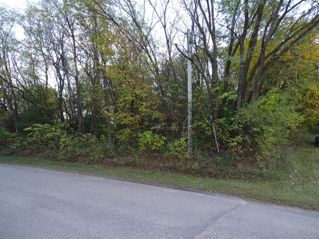 Photo of Lots 3,4,5 5th Stree Washington Street, Pepin, WI 54759 (MLS # 7164434)