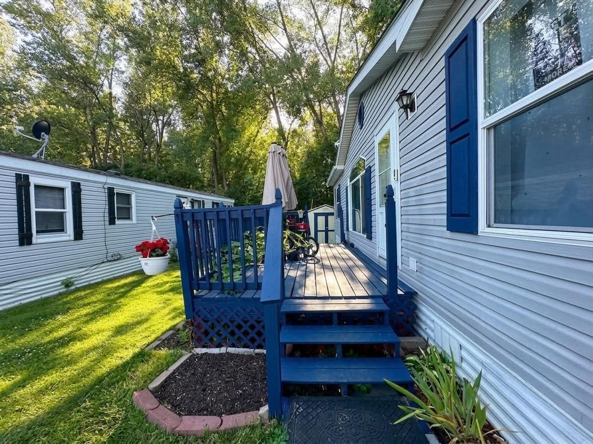 1339 Pine Tree