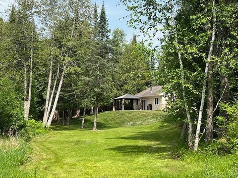 10547 Vermeil Drive NE Deer River MN 56636