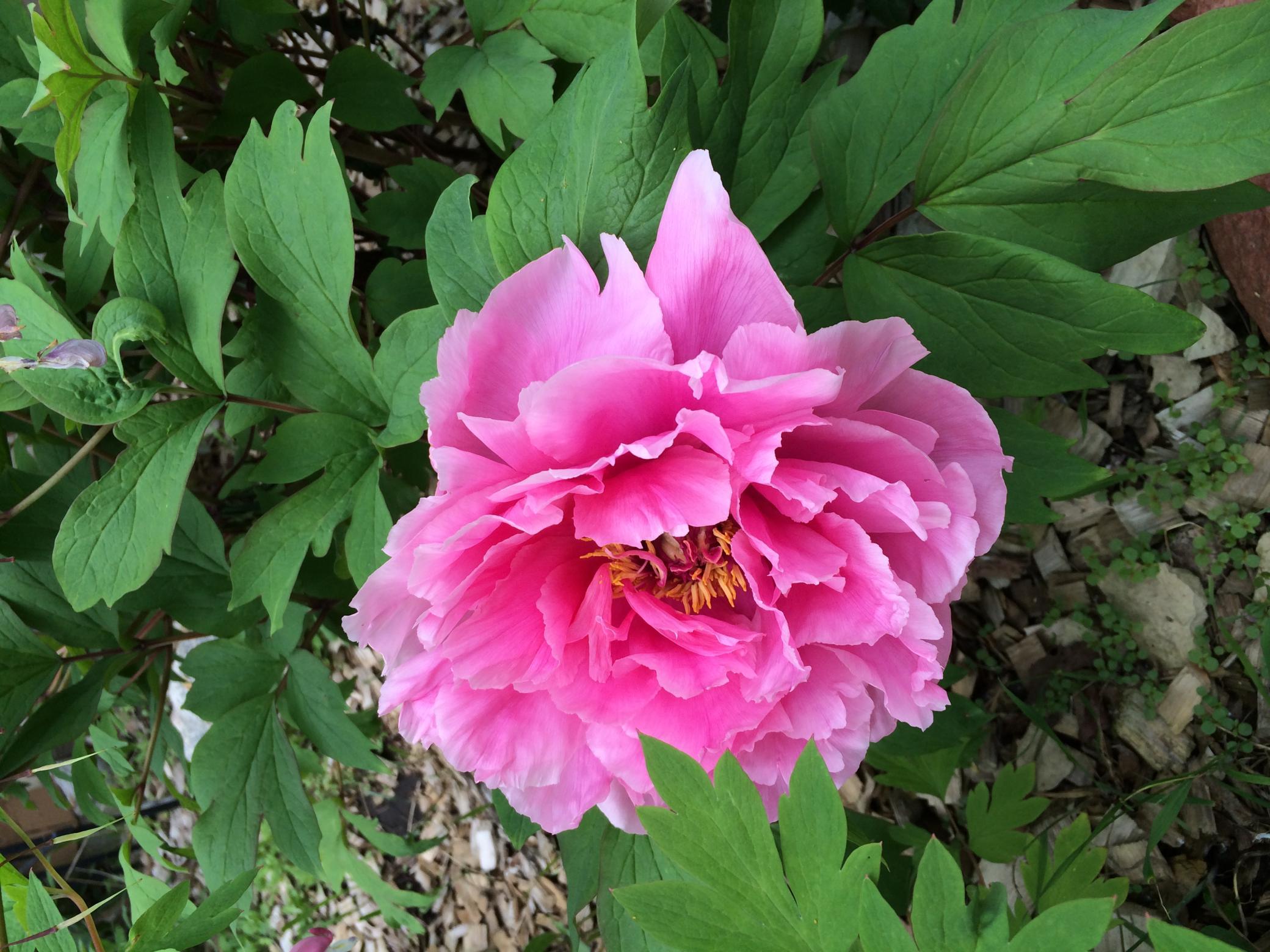 1764 Humboldt Avenue