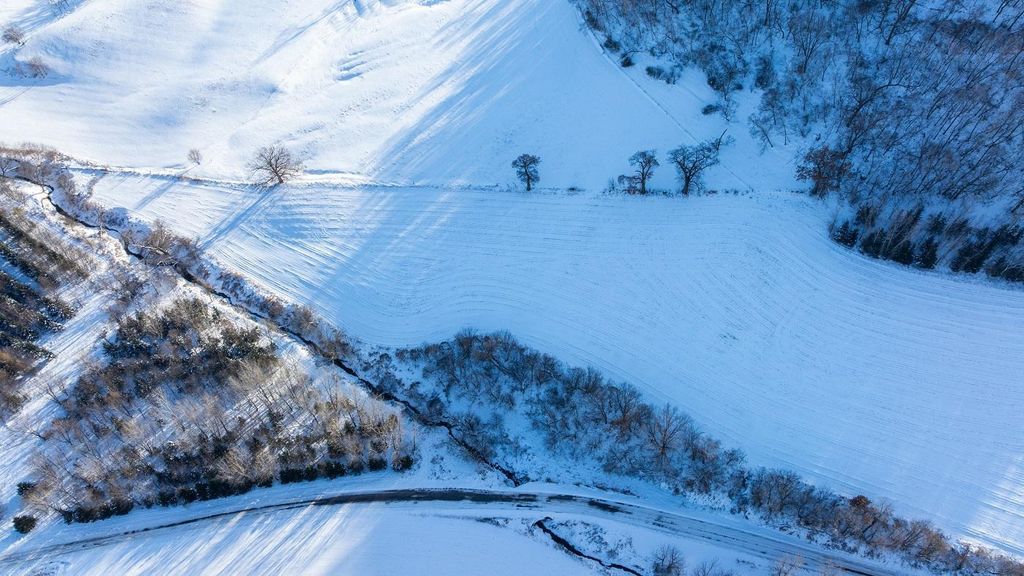 Photo of 0 Lyga Valley Road, Independence, WI 54747 (MLS # 6825238)