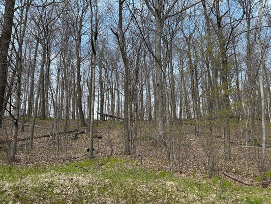 BANYAN DR, GARRISON, MN 56450 - Image e00b81a2a9460ea10bbea0e5c4cd1cc2/3853532929