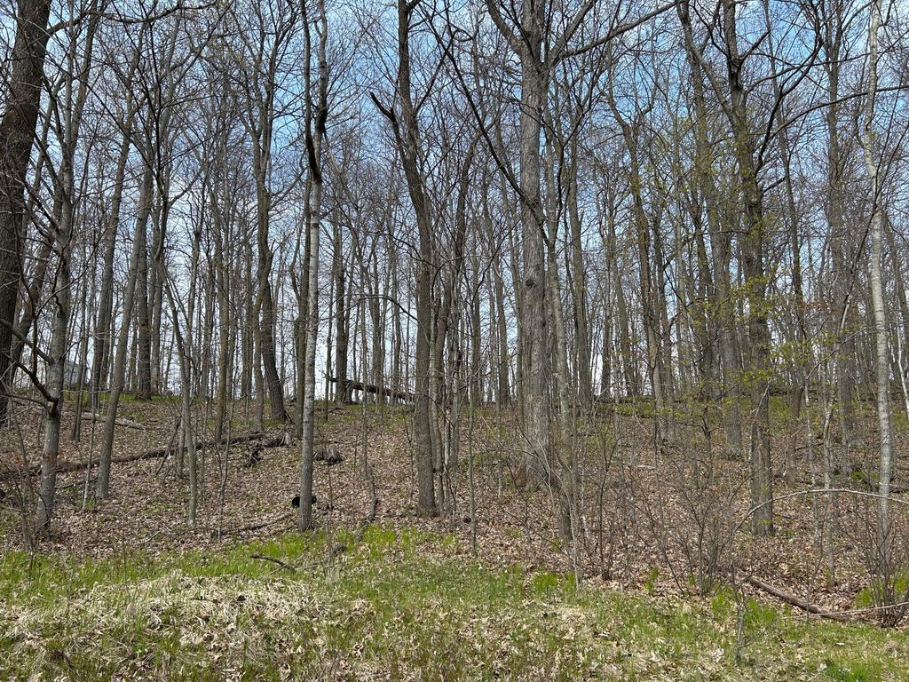 Photo of 51XX Banyan Drive, Garrison, MN 56450 (MLS # 7072661)