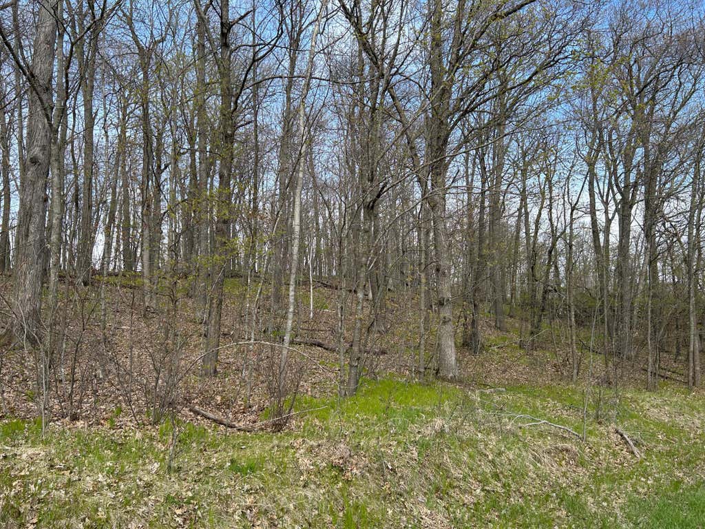 Photo of 51XX Banyan Drive, Garrison, MN 56450 (MLS # 7072661)