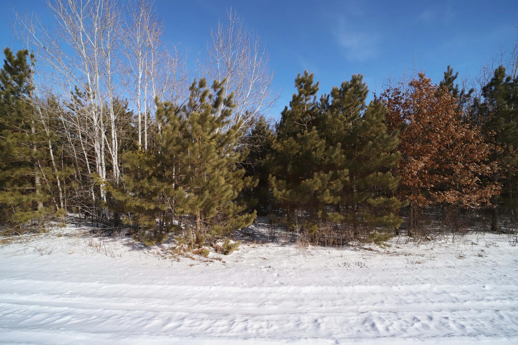 14467 Big Buck Drive