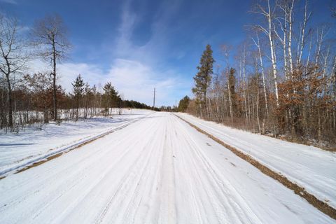 14467 Big Buck Drive Menahga MN 56464