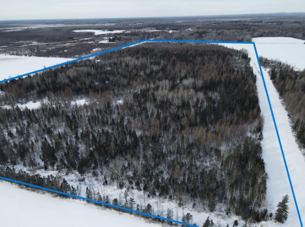Photo of TBD Saralampi Road, Toivola, MN 55765 (MLS # 7021759)