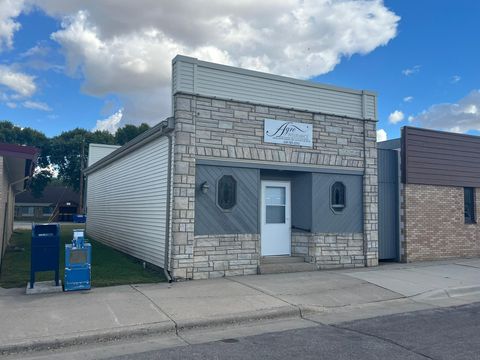 Photo of 229 2nd Avenue, Sacred Heart, MN 56285 (MLS # 6796867)