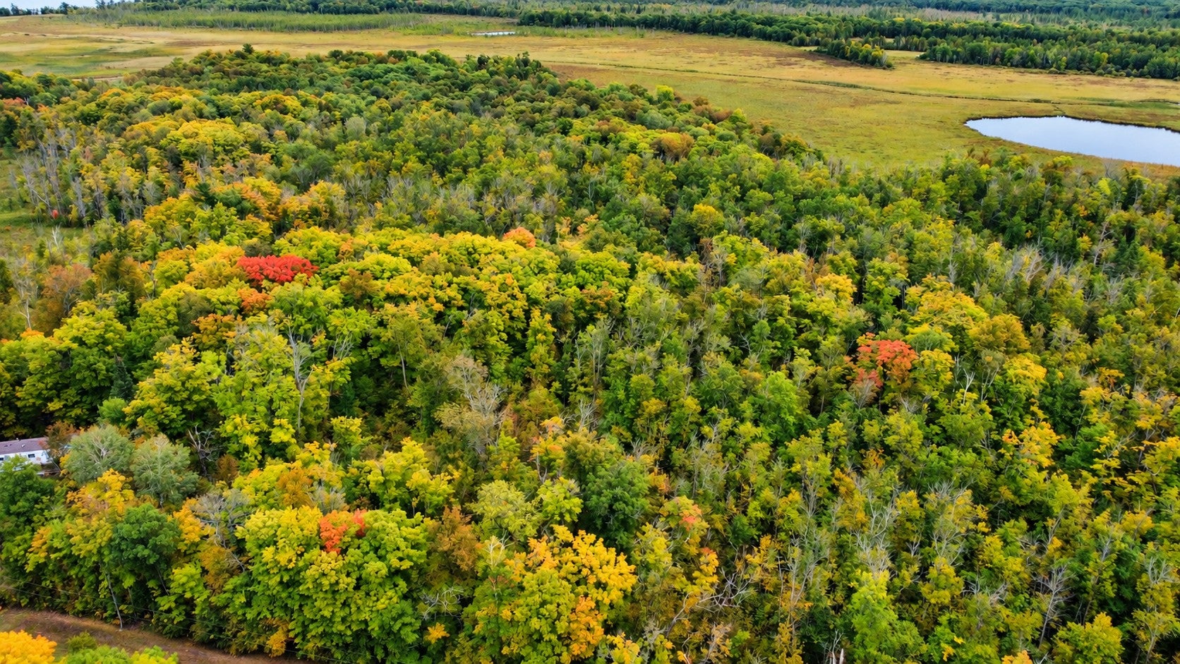 Lot 12 Beaver Drive