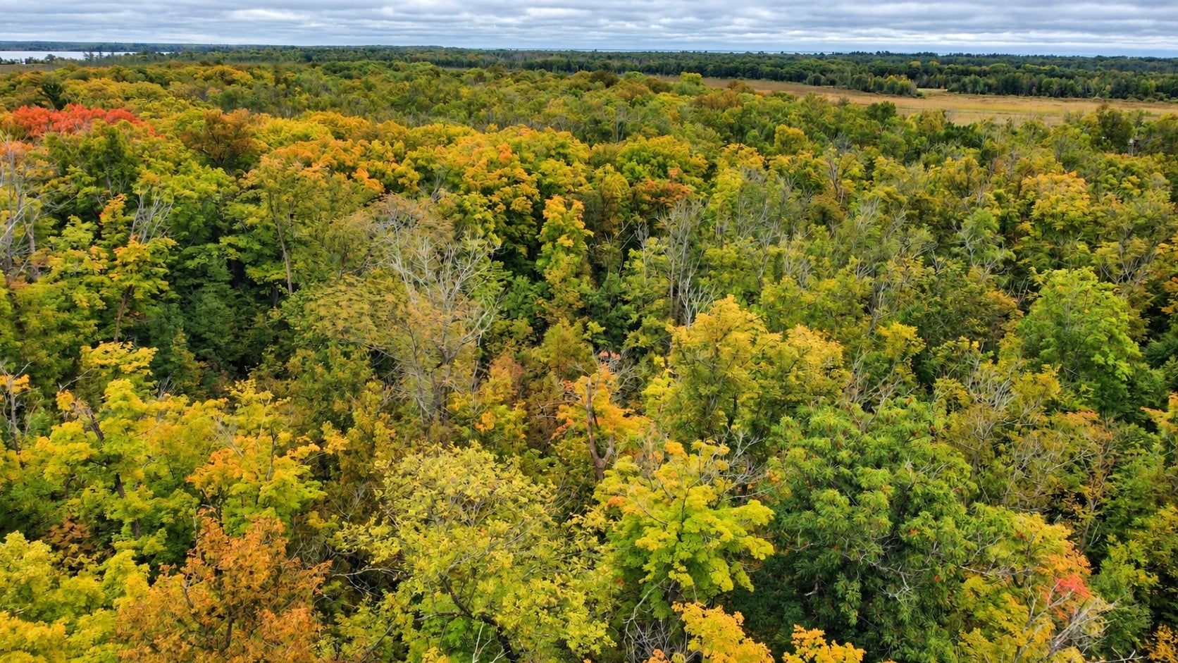 Lot 12 Beaver Drive